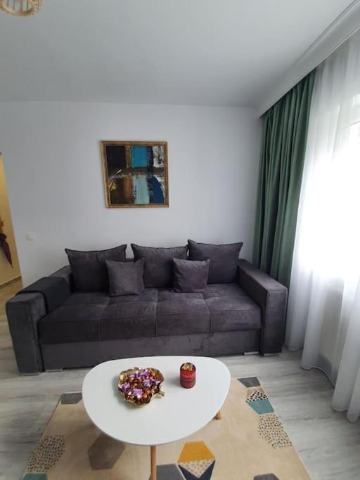 Apartament Ama Сібіу Екстер'єр фото
