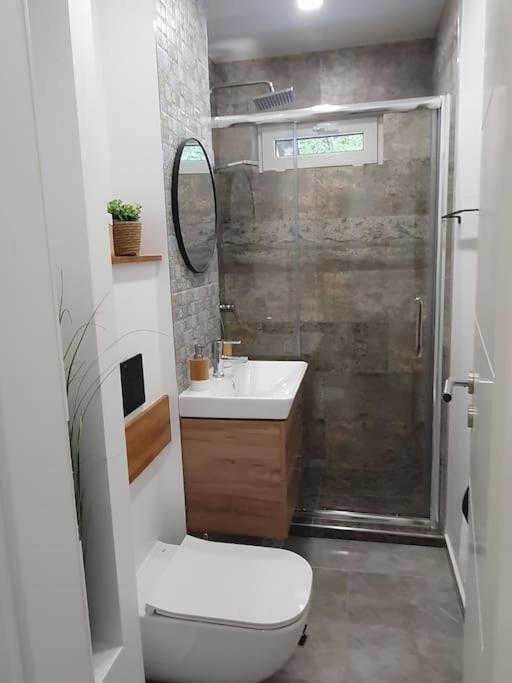 Apartament Ama Сібіу Екстер'єр фото