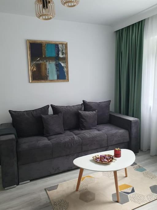 Apartament Ama Сібіу Екстер'єр фото