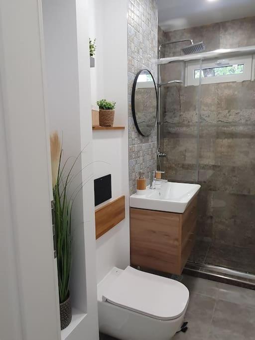 Apartament Ama Сібіу Екстер'єр фото