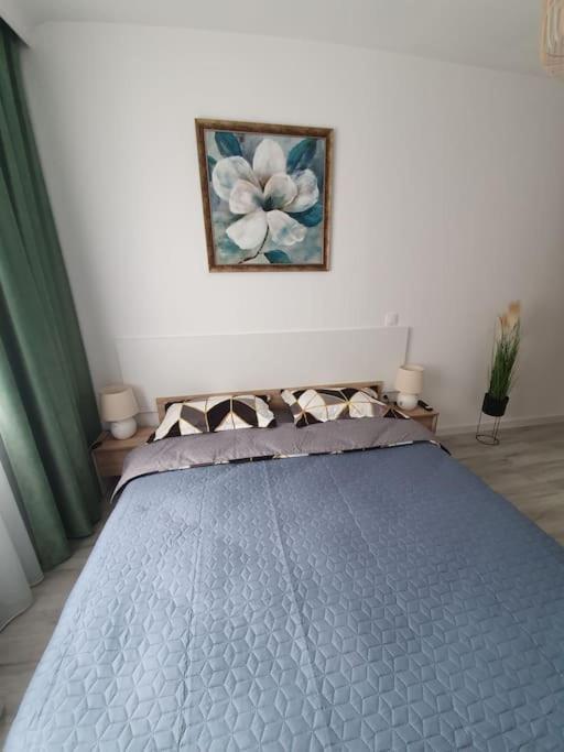 Apartament Ama Сібіу Екстер'єр фото