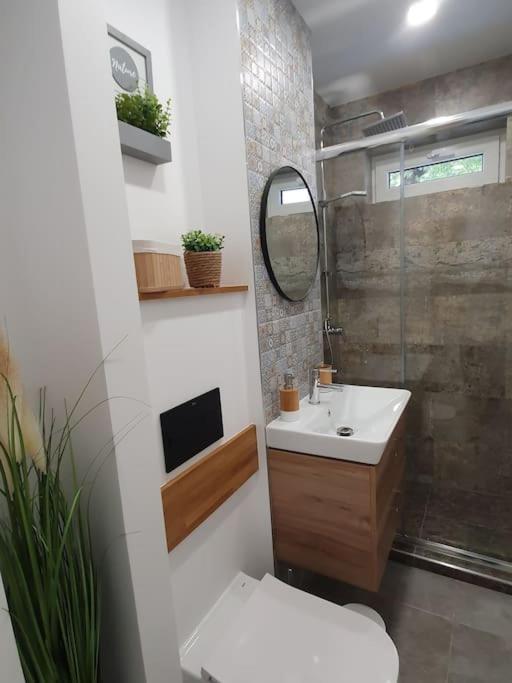 Apartament Ama Сібіу Екстер'єр фото